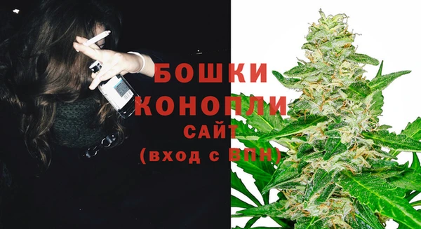 стаф Усмань