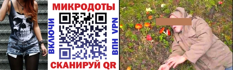 где найти   Чекалин  Псилоцибиновые грибы Psilocybine cubensis 
